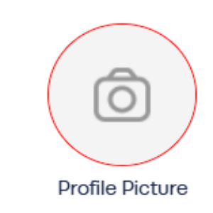 Profile photo of AMIR