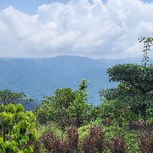 Profile photo of DEVAN