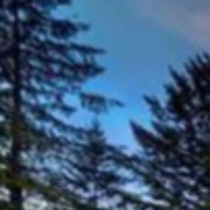 Profile photo of Katayoon