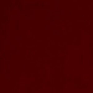 Profile photo of Steven