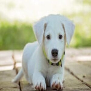 Profile photo of zoe