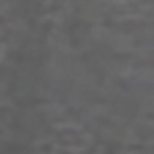 Profile photo of Tom