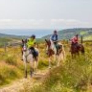 Profile photo of Alison