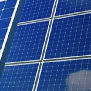 Profile photo of Nicolae